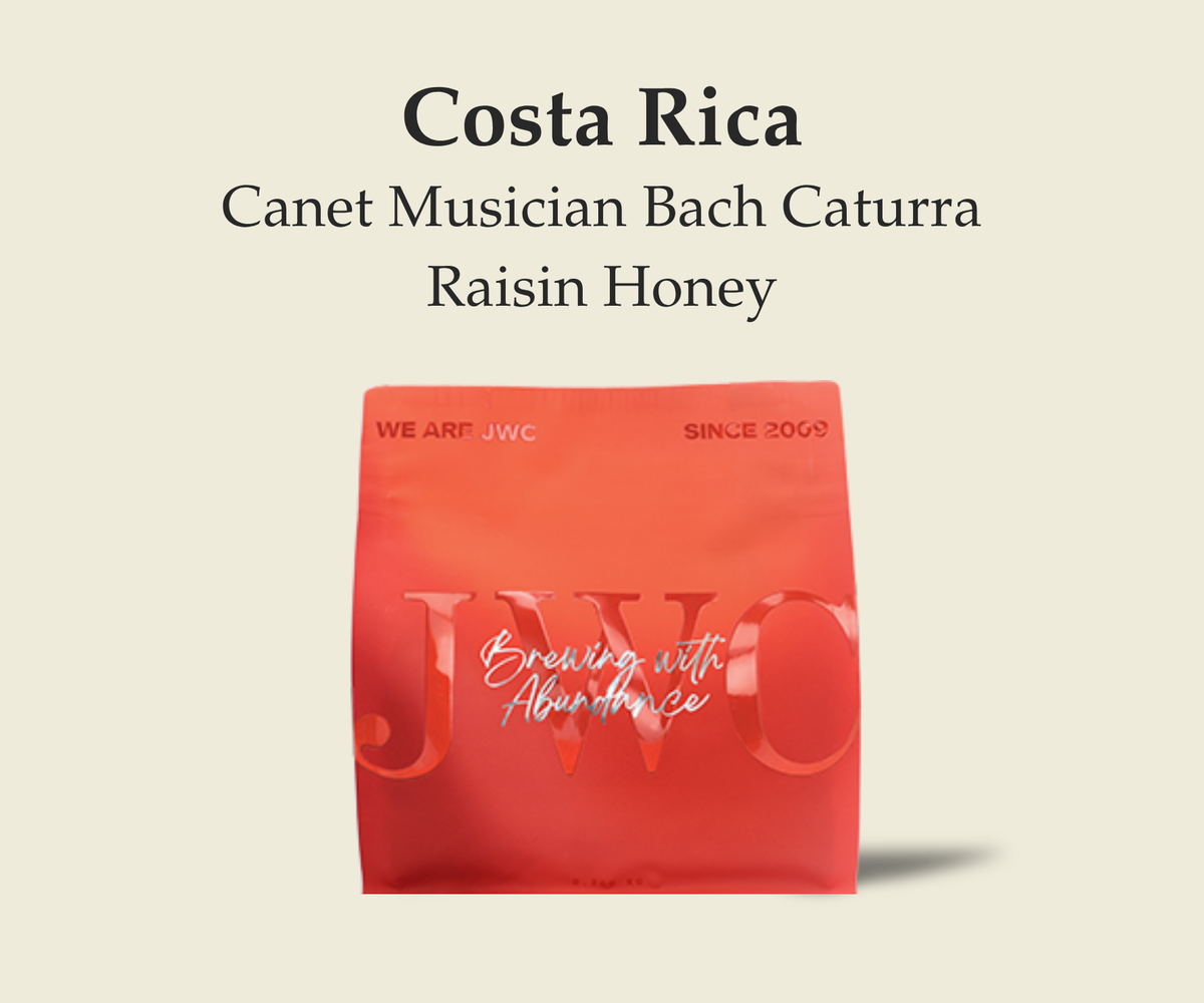 Costa Rica Canet Musician Bach Caturra Raisin Honey