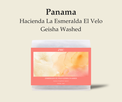 Panama Esmeralda El Velo Geisha Washed