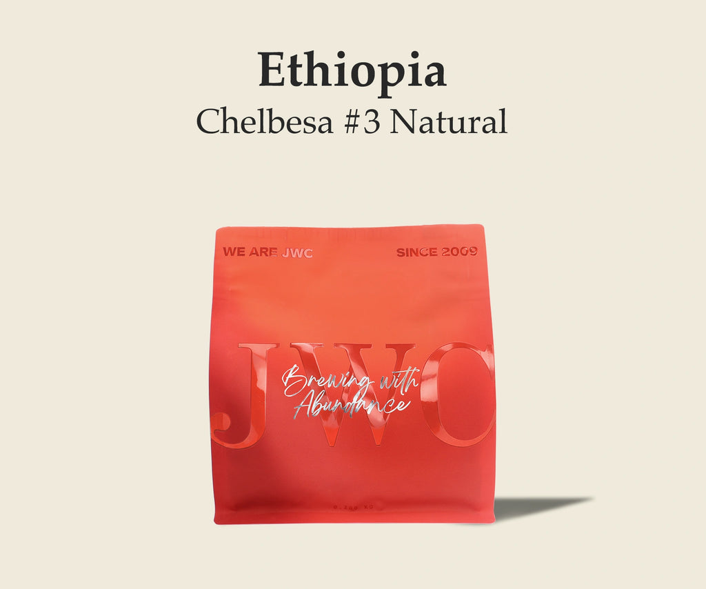 Ethiopia Chelbesa #3 Natural