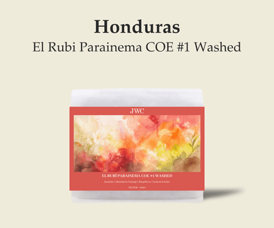 Honduras El Rubi Parainema Washed COE #1