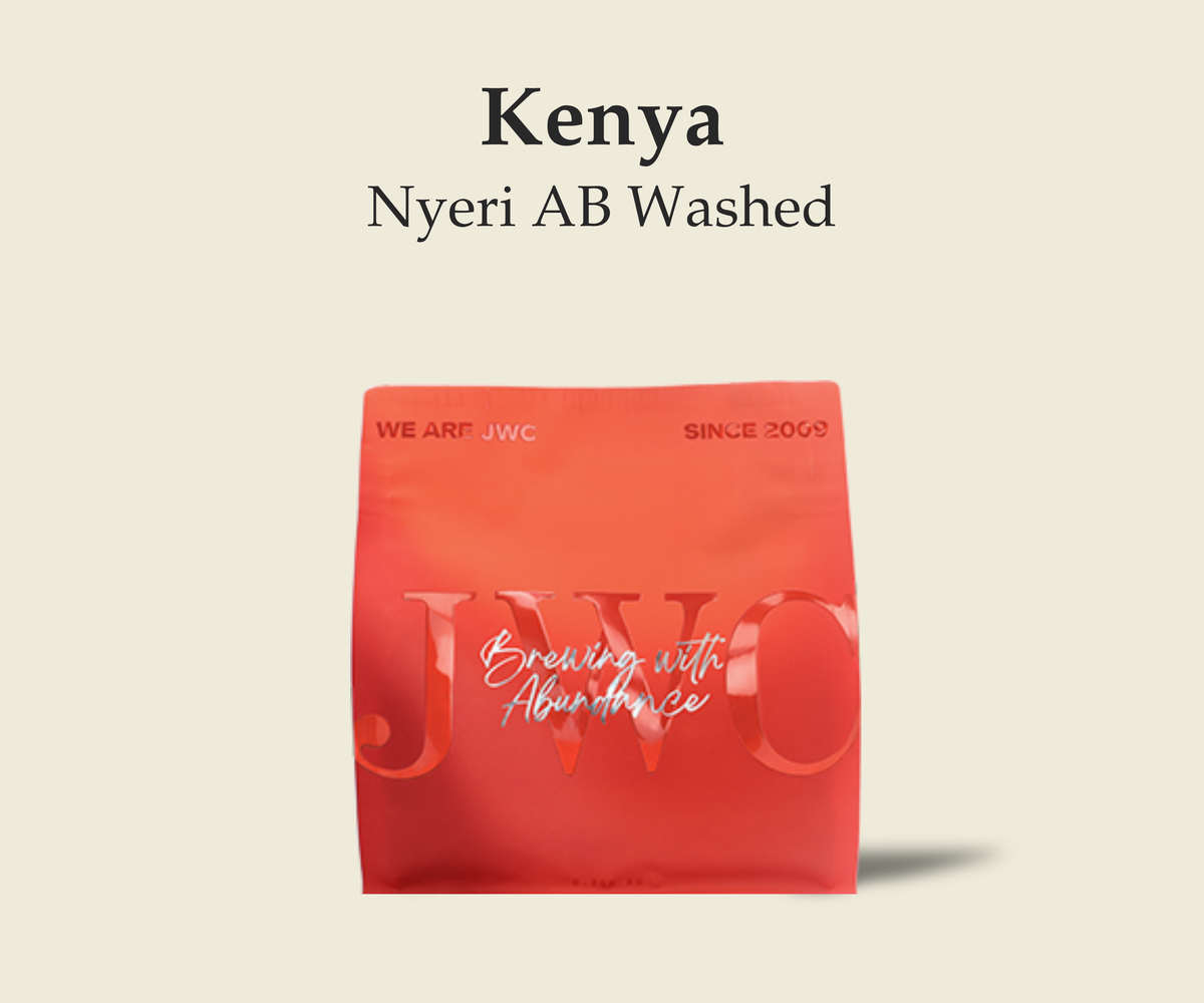 Kenya Nyeri AB Washed