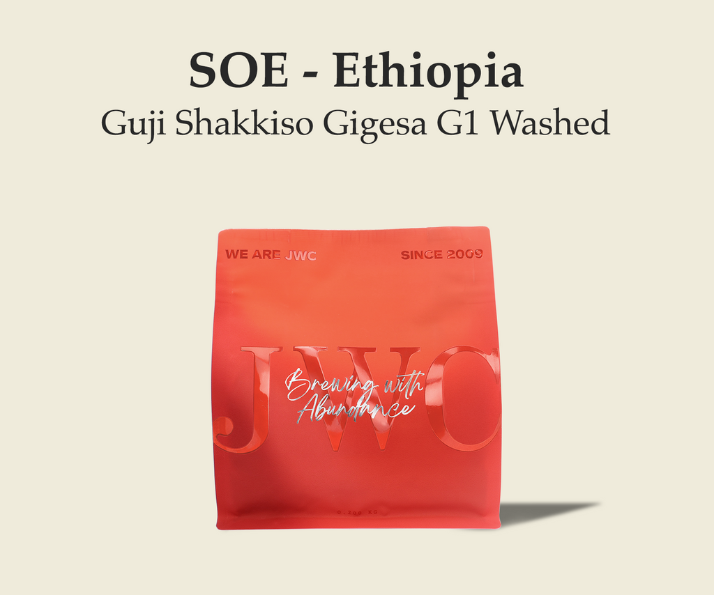 SOE - Ethiopia Guji Shakkiso Gigesa G1 Washed