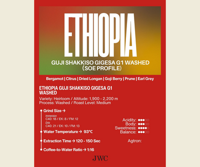 SOE - Ethiopia Guji Shakkiso Gigesa G1 Washed