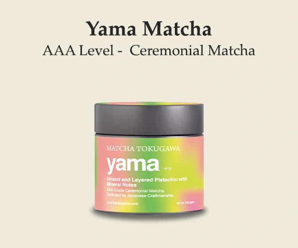 Yama Matcha