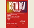 Costa Rica Mirazu Caturra Red Honey