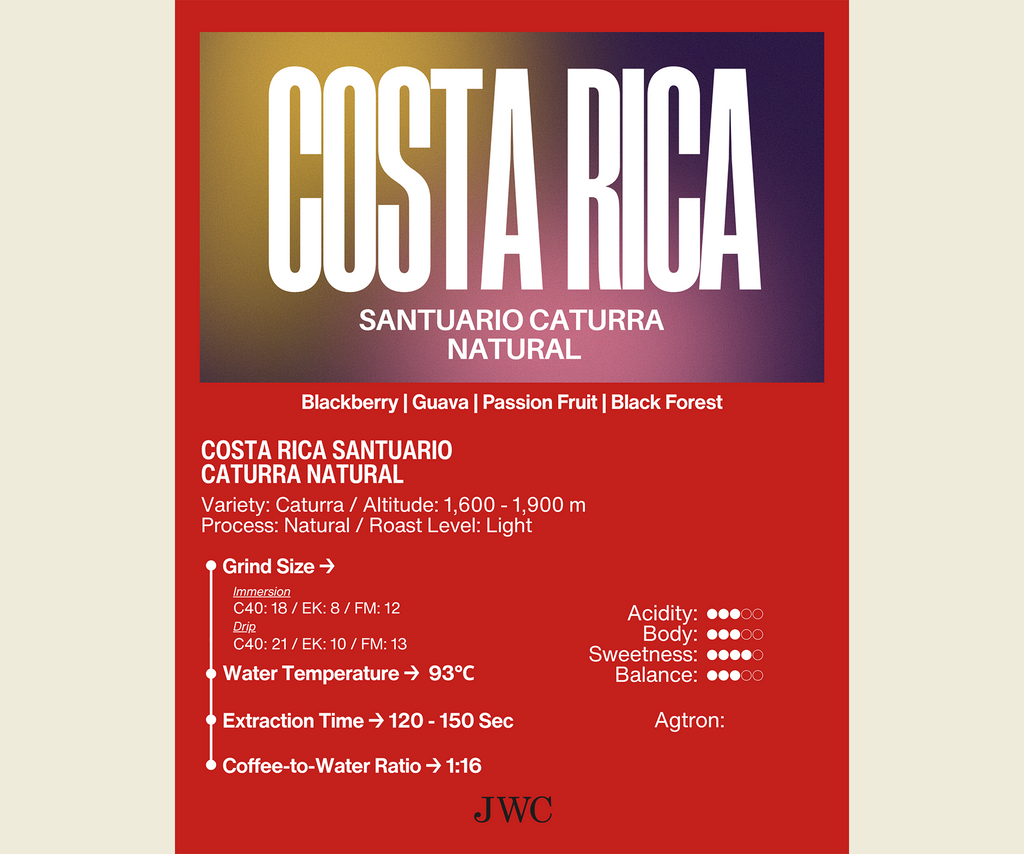 Costa Rica Santuario Caturra Natural