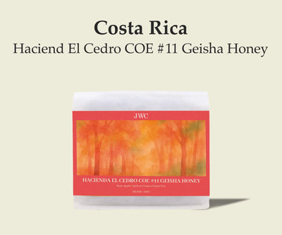 Costa Rica Haciend El Cedro COE #11 Geisha Honey