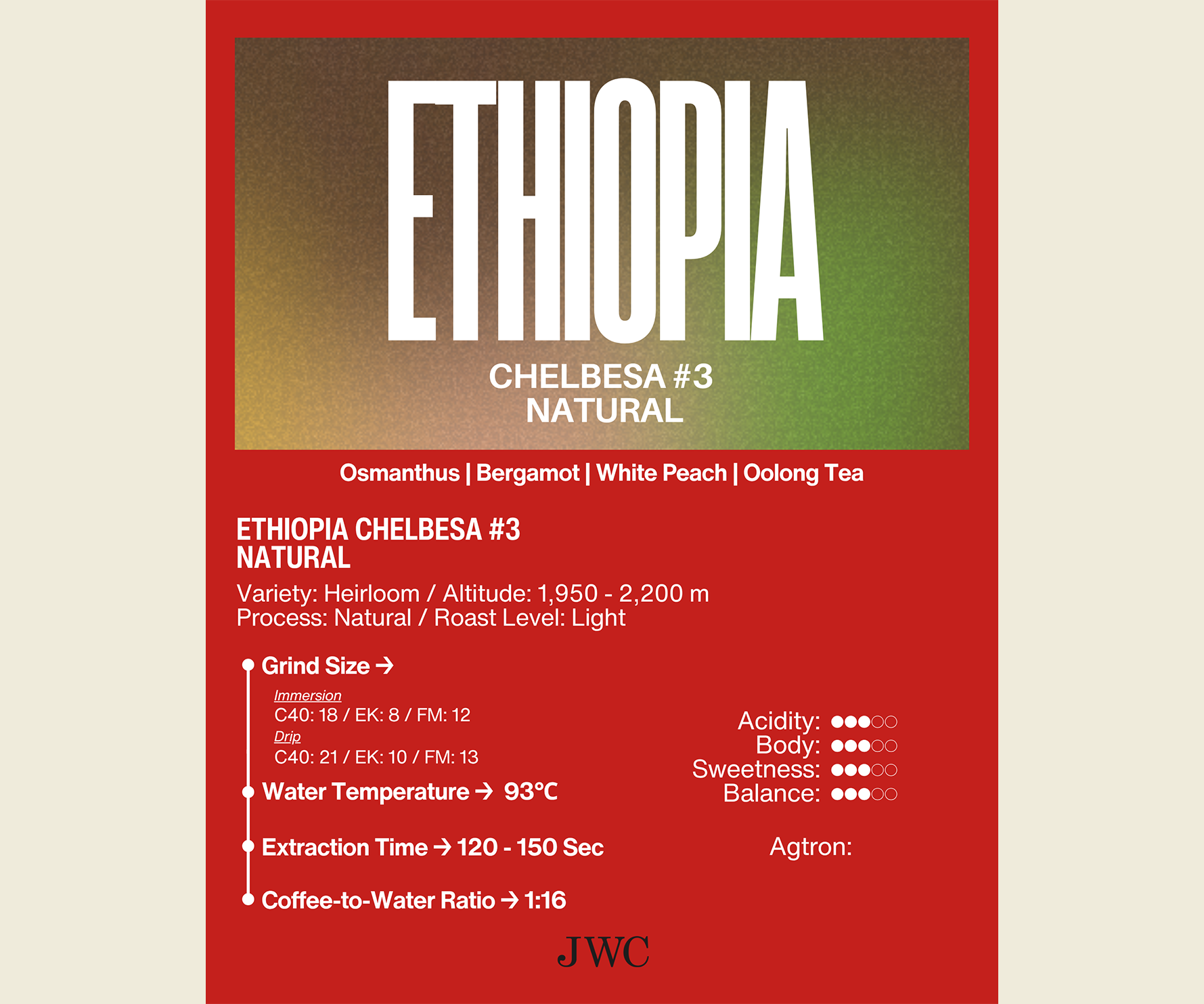 Ethiopia Chelbesa #3 Natural