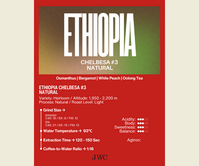 Ethiopia Chelbesa #3 Natural
