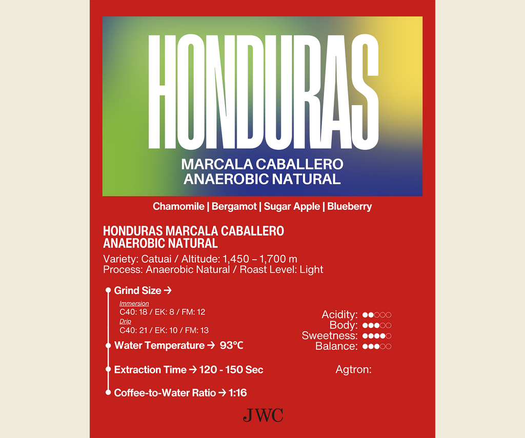 Honduras Marcala Caballero Anaerobic Natural