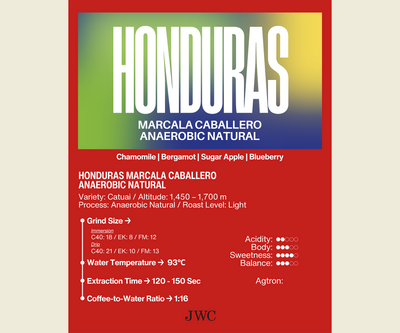 Honduras Marcala Caballero Anaerobic Natural