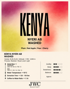 Kenya Nyeri AB Washed