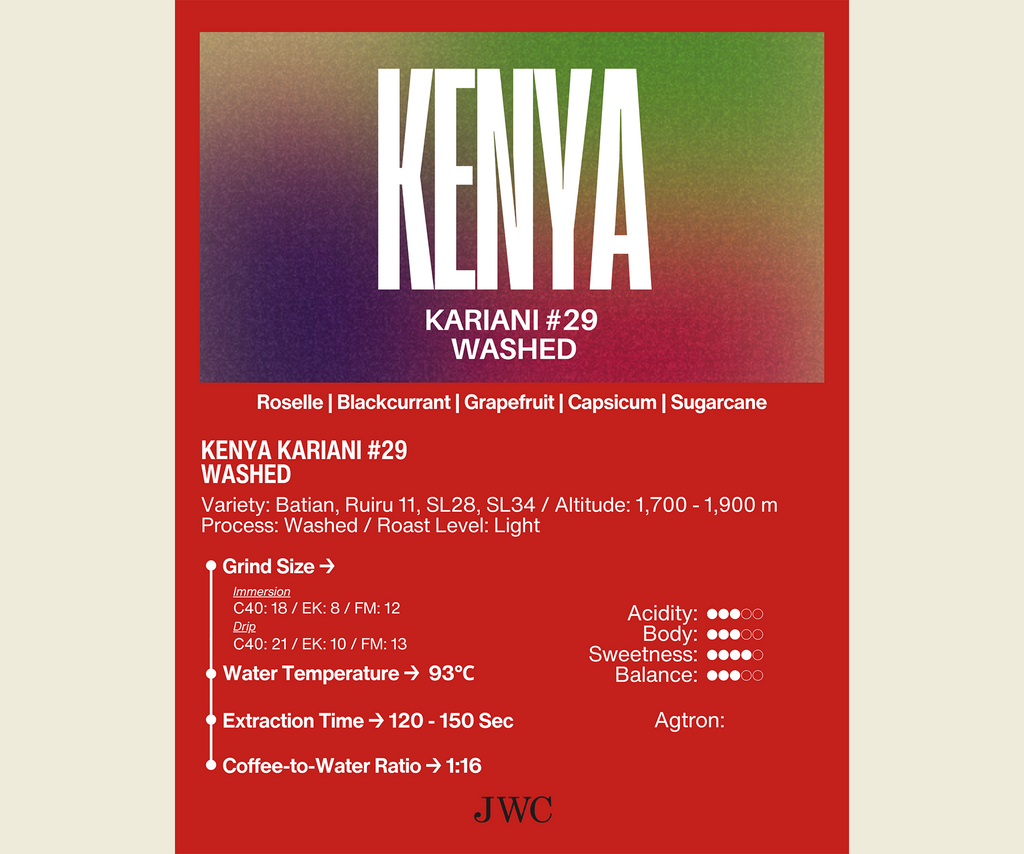 Kenya Kariani #29 Washed