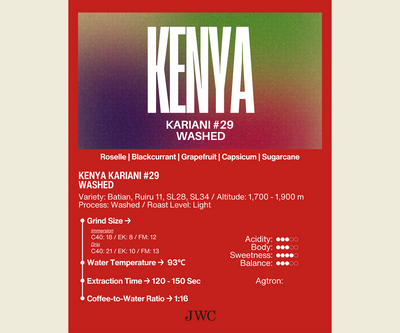 Kenya Kariani #29 Washed